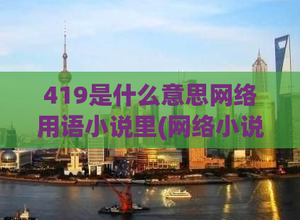 419是什么意思网络用语小说里(网络小说里解密419, 全面探究它的含义)