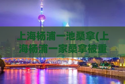 上海杨浦一池桑拿(上海杨浦一家桑拿被重点整治，多名嫖客被抓现场。)