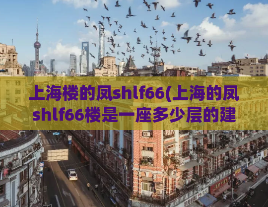 上海楼的凤shlf66(上海的凤shlf66楼是一座多少层的建筑？)