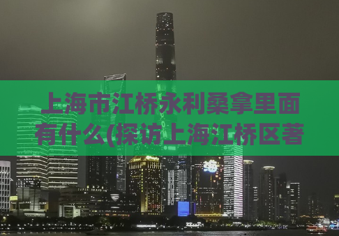 上海市江桥永利桑拿里面有什么(探访上海江桥区著名桑拿会所的内部设施)