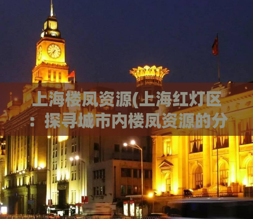 上海楼凤资源(上海红灯区：探寻城市内楼凤资源的分布和走向)