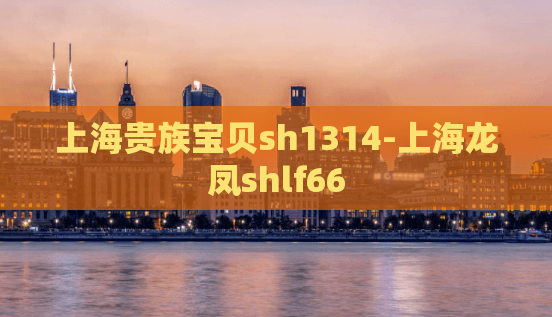 上海贵族宝贝sh1314-上海龙凤shlf66