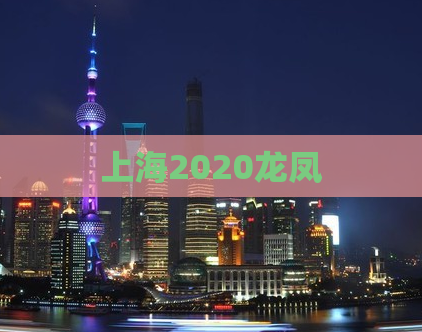 上海2020龙凤