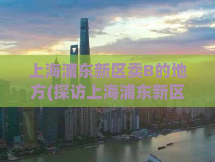 上海浦东新区卖B的地方(探访上海浦东新区B市场实况：经验分享与购买指南)