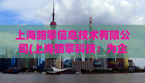 上海路擎信息技术有限公司(上海路擎科技：为企业提供全方位SEO优化服务)