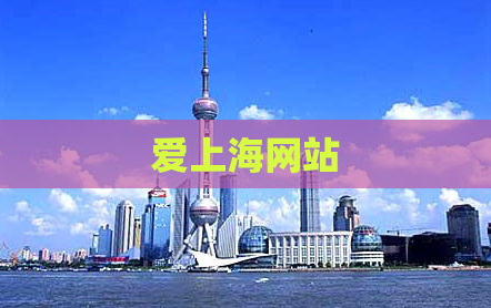 爱上海网站