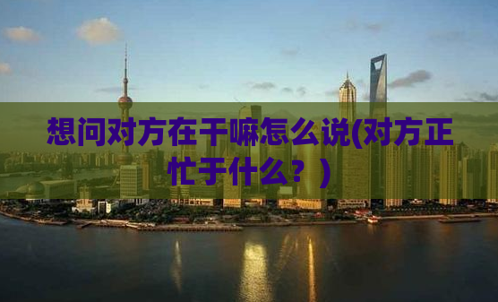 想问对方在干嘛怎么说(对方正忙于什么？)