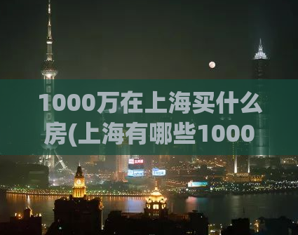 1000万在上海买什么房(上海有哪些1000万可以考虑的房子选项？)